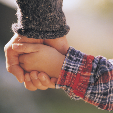 The image shows an adult holding hands with a small child. We can't see anything other than their hands.