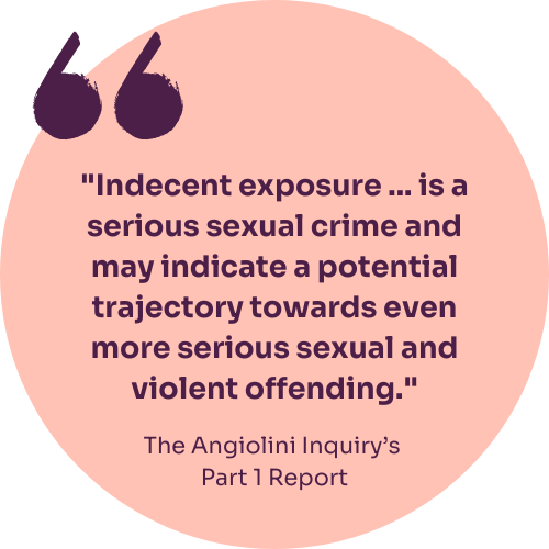 A quote from the Angiolini Inquiry's Part 1 Report: "Indecent exposure ... is a serious sexual crime and may indicate a potential trajectory towards even more serious sexual and violent offending."