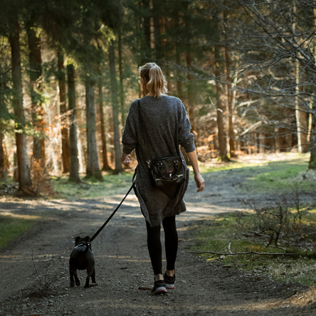 A woman with her back to us is walking her small dog through the woods.